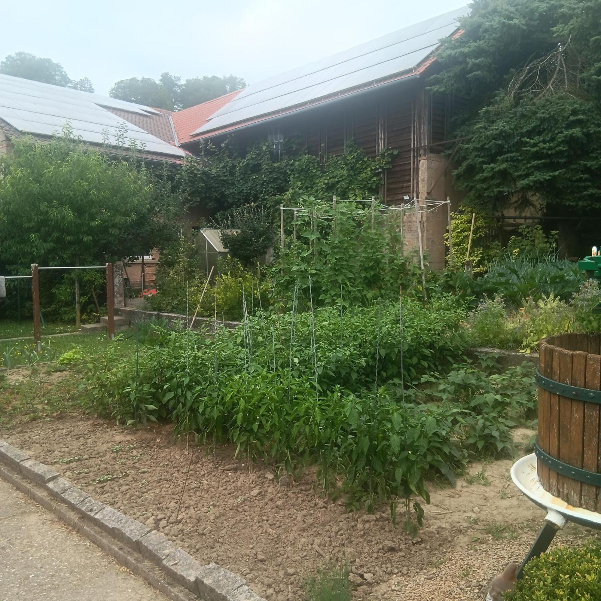 Ferienwohnung Weingut Juergen - Lutz Angelbachtal Exterior foto